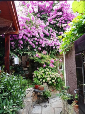 Apartman i Sobe Čule Cres